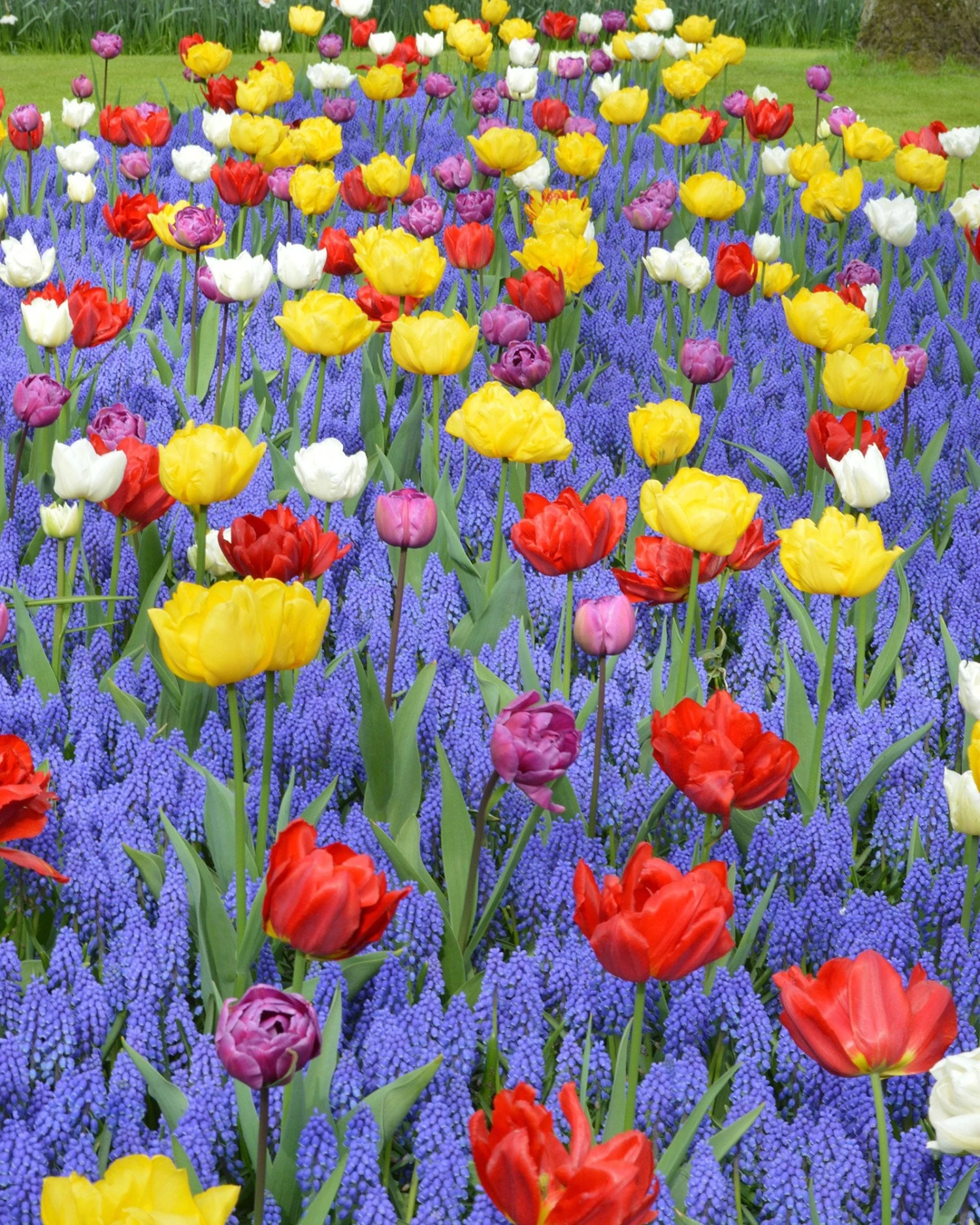 Collection 'Floating Doubles' 1 Collection 'Floating Doubles'