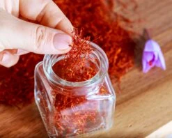 Crocus Sativus -Plants And Flowers Shop crocus sativus saffron