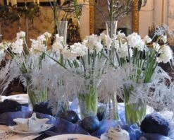 Narcissus Tazetta 'Paperwhite' -Plants And Flowers Shop narcissus paperwhite 5