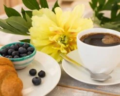 Paeonia 'Bartzella' 9 Paeonia 'Bartzella' -Plants And Flowers Shop peony bartzella 2