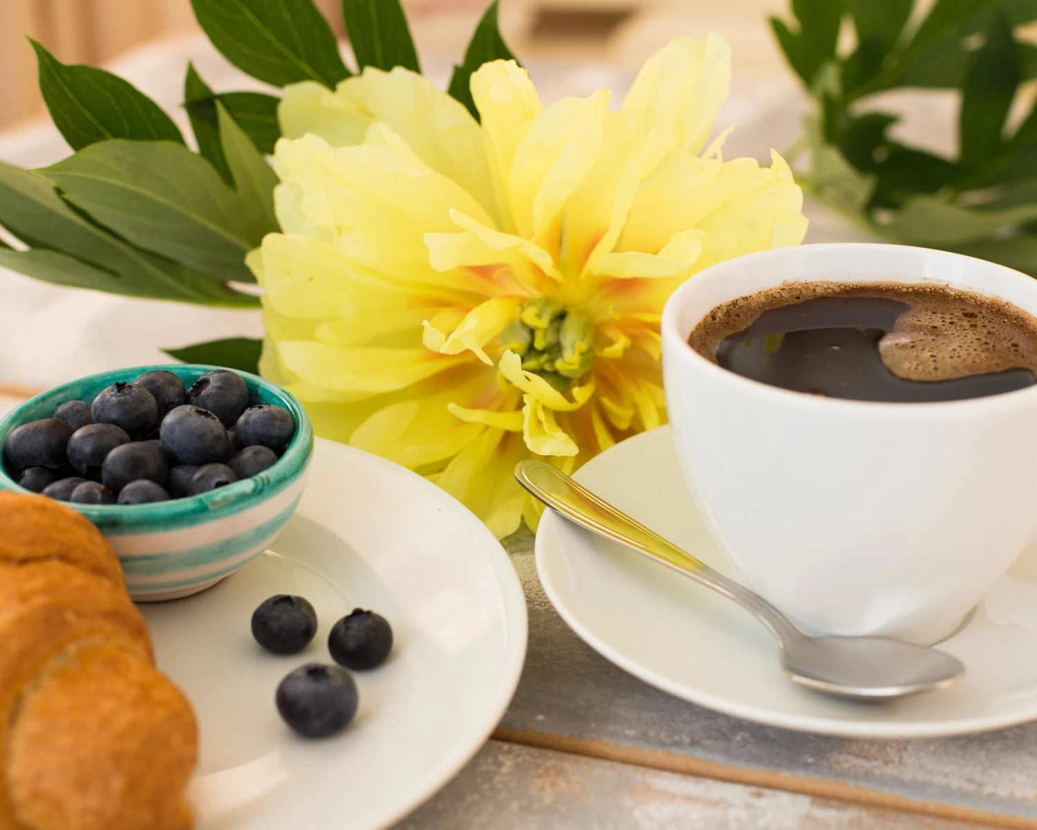 Paeonia 'Bartzella' 3 Paeonia 'Bartzella' - Image 3